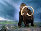 Před desítkami tisíci lety žili srstnatí mamuti na rozsáhlém území současně v různých částech světa, nejen na Sibiři