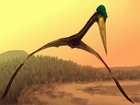 Ptakoještěři (Pterosauři - okřídlení ještěři) jsou vyhynulí druhohorní plazi, první obratlovci v historii Země, kteří možna byli schopní aktivního letu. Žili stejně jako jim fylogeneticky příbuzní dinosauři od svrchního triasu (před 228 miliony let) až do konce křídy před 65 miliony let. Jejich křídla byla tvořena kožovitou blánou napjatou mezi tělem a prodlouženým čtvrtým prstem.