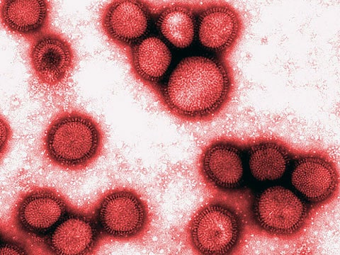 Chřipkový A virus