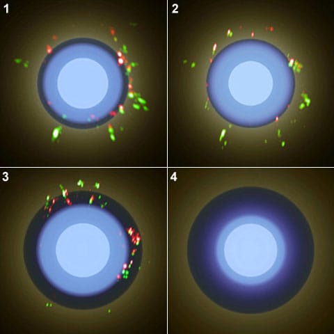 Cyklus pulsace S Ori. Světle modrou barvou je znázorněn povrch hvězdy. Tmavě modrou je vyznačena molekulární vrstva, ve které jsou obsaženy částice oxidu hlinitého a oxidu křemičitého. Barevné skvrny, vyskytující se na obraze, jsou maserová záření, zaznamenaná radioteleskopy VLBA,  z «hrudkovitých» seskupení prachu (zelené –  Al<sup>2</sup>O<sup>3</sup>, červené – SiO). V době rozpínání během fáze 1, 2 a 3 vrstva s těmito částicemi nemění svou lokalizaci. Přesto, při smršťování, na obaly (4. fáze) působí částí plynů, které «utíkají» od hvězdy, a tyto prachové částice se uchylují do vnějšího prostoru. 