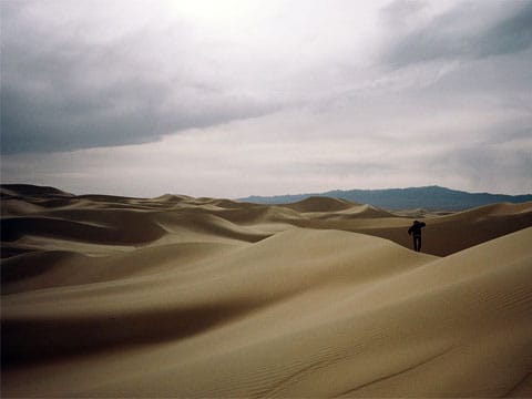 Gobi je jedna z nejstarších a největších pouští světa, ale oproti ostatním suchým oblastem má několik nepravidelností, které jí od ostatních značně odlišují. Rozkládá se v severní Číně a jižním Mongolsku.