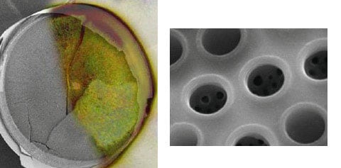 Ultrastruktura rozsivkových řas láme paprsky, čímž poskytuje organismu světlo. Napravo: povrch nanostruktury pod elektronickým mikroskopem.