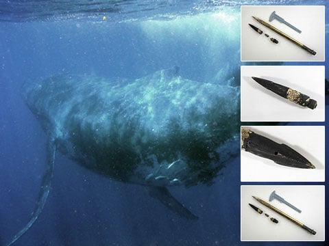 Vpravo jsou rozloženy fragmenty výbušné „harpuny“, vytažené z velryby. Napravo, pro srovnání, svou konstrukcí podobný, jistě už nevybuchující granát z roku 1885. Dole: zvětšenina hrotu velrybářské zbraně, který byl nalezen ve velrybě 